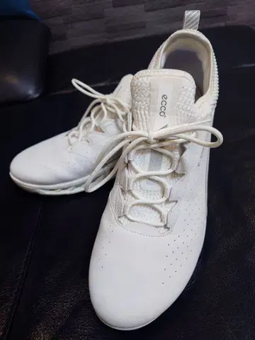 에코 바이옴 C4 스파이크리스 골프화 43 가격 인하했습니다