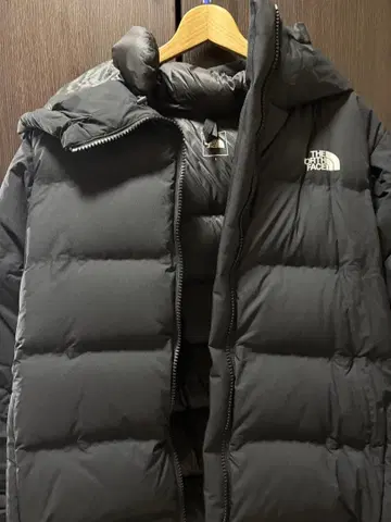 THE NORTH FACE ND92215 L