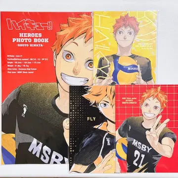 하이큐 HEROES PHOTO BOOK 히나타