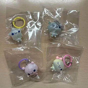 아와와짱 코론토 클리어 메지루시 참