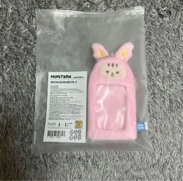 SEVENTEEN 미니틴 정한 트레이딩 카드 케이스