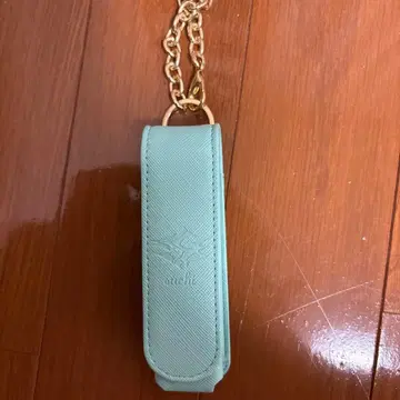 시쿠포니 스치 립 케이스