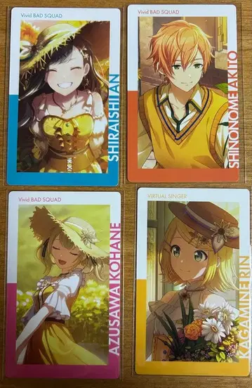 프로세카 에피카 11C