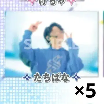 304) 타치바나 클리어 포스터