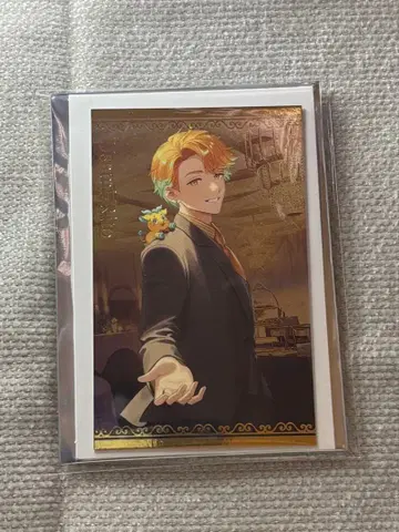 니지산지 비주얼 카드