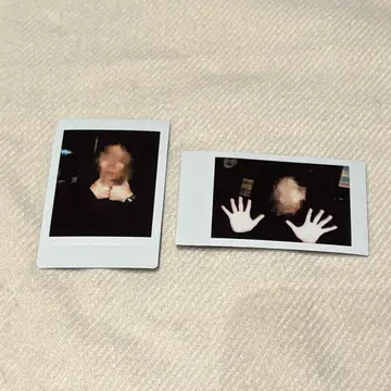 금붕어 반장 미노와 세트