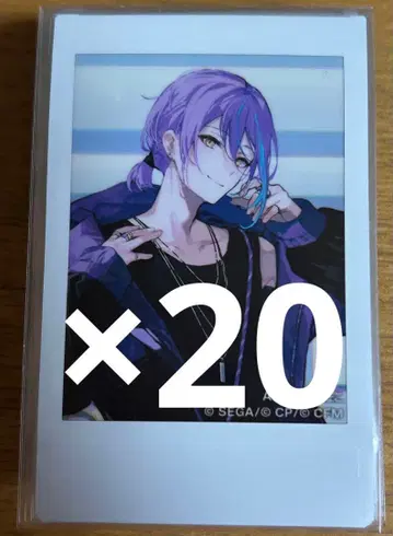 프로세카 ZOZO 콜라보 폴라로이드 카미시로 루이