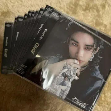 stray kids 현진 FC반 GIANT 10장 세트