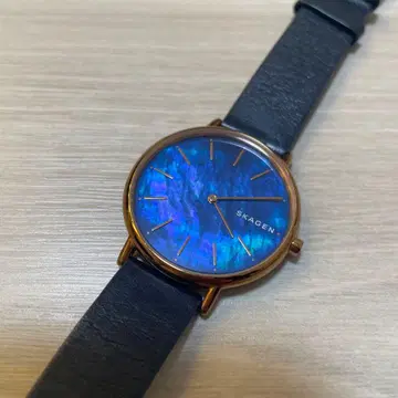 SKAGEN 손목시계 (배터리 미교환)