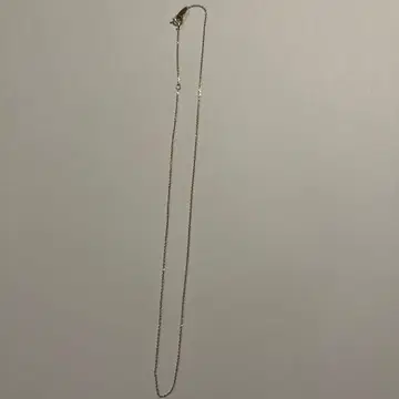 ete 10k 목걸이 40cm