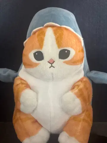 상어냥 봉제 인형