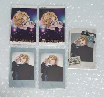 니지산지 엑스 알비오 폴라로이드