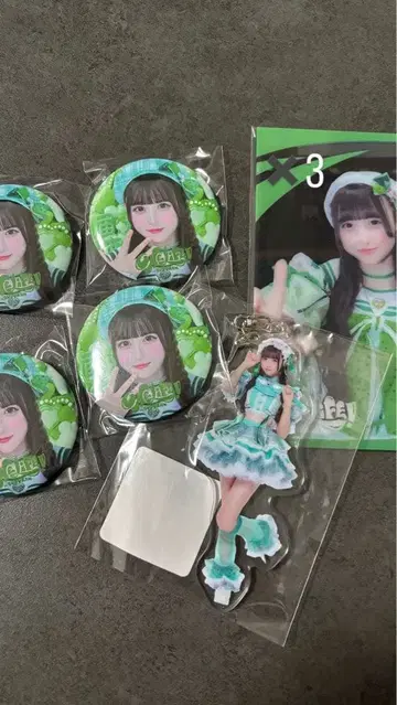 iLiFE! 와카바노아 무도관 캔뱃지 클리어 카드 아크릴 키링