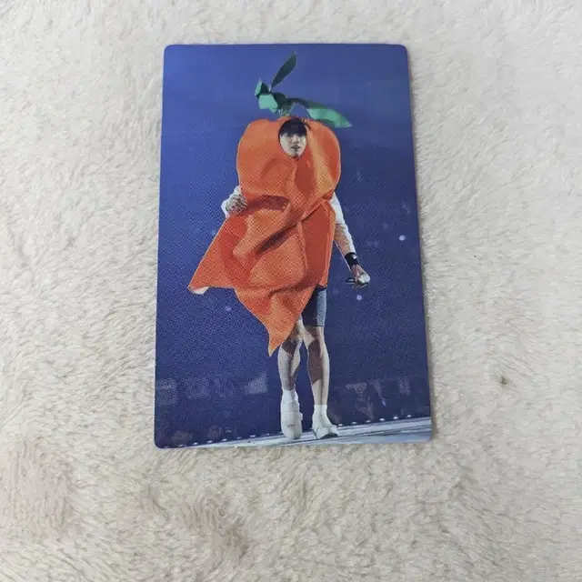 bts 방탄 머스터 디비디 포카 정국