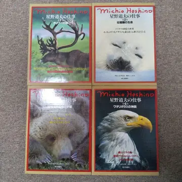 호시노 미치오의 일 4권 세트