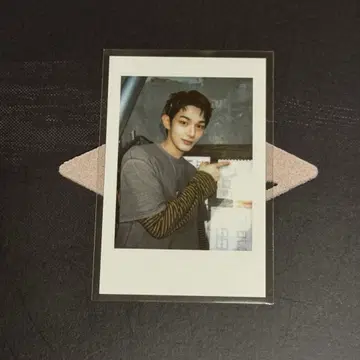 AHOF 스티브 쇼케이스 폴라로이드 트레이딩 카드