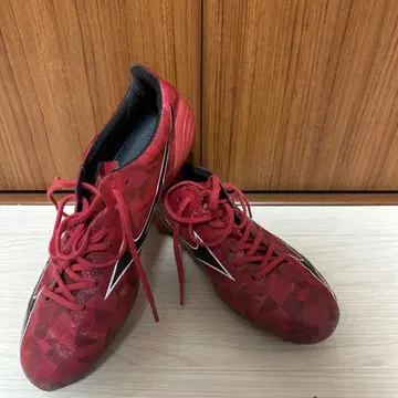 미즈노 알펜 재팬 (카본 함유)