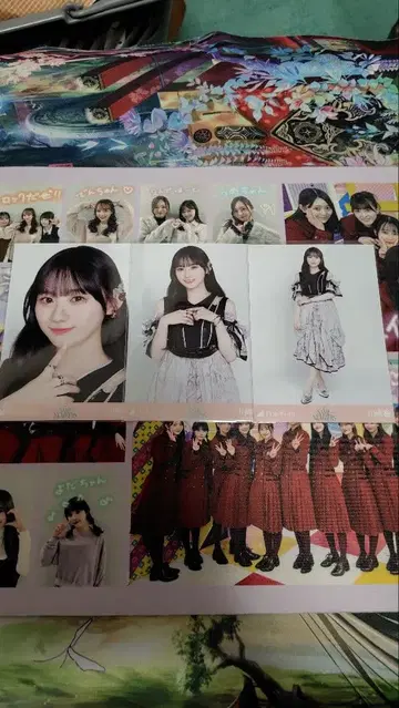 노기자카46 브로마이드 same numbers 카와사키 벚꽃 컴프