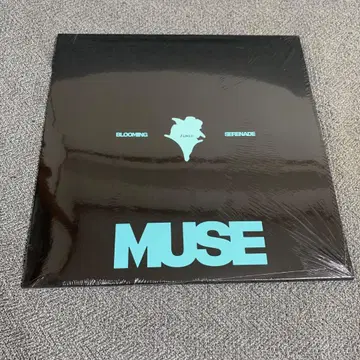 새상품 BTS 지민 JIMIN MUSE LP 레코드 아날로그반