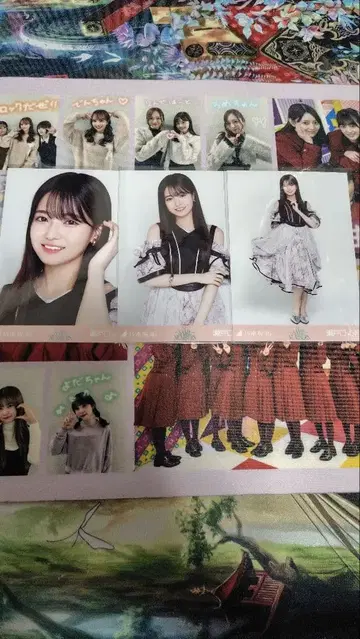 노기자카46 브로마이드 same numbers 세토구치 신츠키 컴프