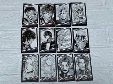 종말의 발키리 특전 필름풍 콜렉터블 카드 12종 세트