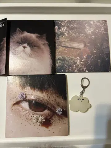 카네코 아야노 굿즈 묶음 판매