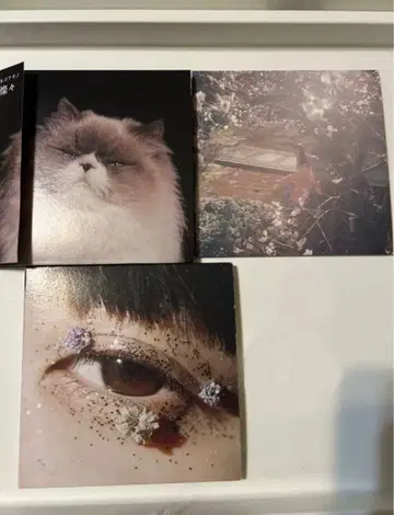 카네코 아야노 굿즈 묶음 판매 CD