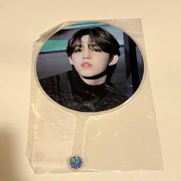 SEVENTEEN 에스크 holidaycollection 미니 부채