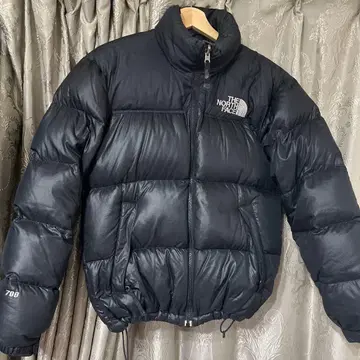 THE NORTH FACE 눕시 자켓 700