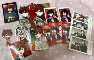 비바세카 미케라 묶음 판매