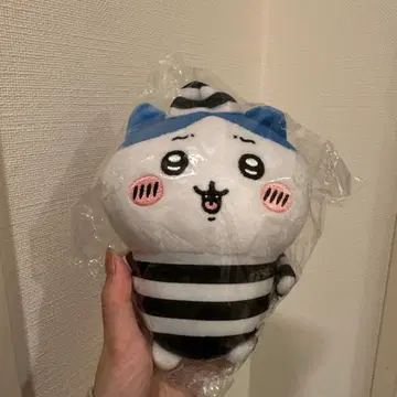 치이카와 (먼작귀) 뽀떼따마 봉제 인형 하치와레 죄수