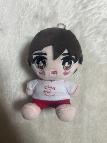 소노 슌타 봉제 인형 캔들리