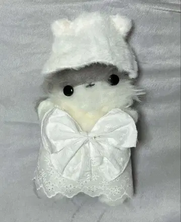 일본 작가 아메노 씨 비스킷 모시모시