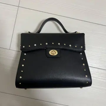 다이애나 핸드 숄더백