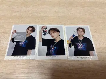 야기 유세이 포토 카드 시크레