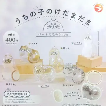 우리 아이의 털뭉치