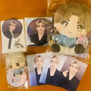 에스크 seventeen 세부치 NEW_ 미니 피켓 캔뱃지 트레이딩 카드