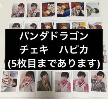팬더드래곤 파라곤 하피카 폴라로이드 팟치