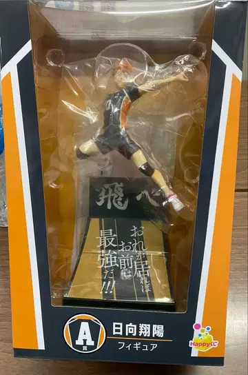 하이큐 히나타 쇼요 피규어 A상