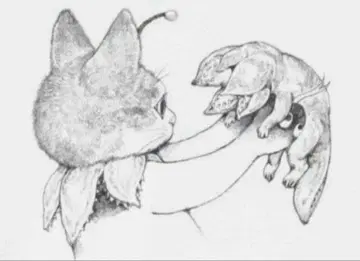 히구치 유코 기묘한 이야기 t셔츠 XL 사이즈 새상품