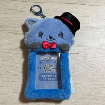 레인 트레이딩 카드용 홀더