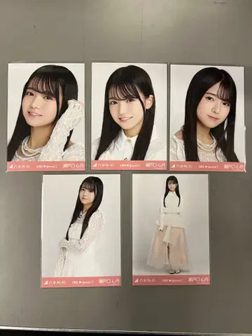 노기자카46 6기생 세토구치 신츠키 Special2 브로마이드 5종