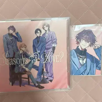 VOLTACTION CD 일반ver 혜택 와타라이 히바리 4