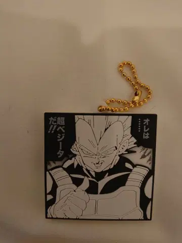 드래곤볼 40주년 기념 고무 마그넷 비스킷 베지터