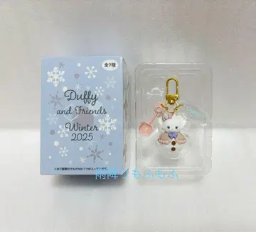 새상품 디즈니씨 시크릿 오브 스노우위 데이 리나벨 참