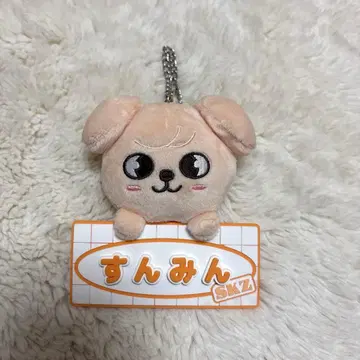 straykids 승민 toyworld 백참 네임택