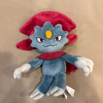 마뉴라 포켓몬fit