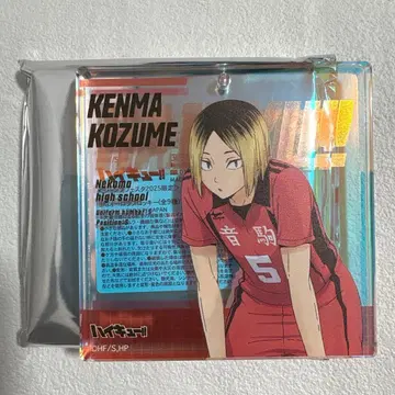 하이큐 코즈메 켄마 BIG 오로라 블로키 쇼와노트 운세 뽑기