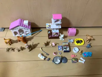 리카짱 반려동물