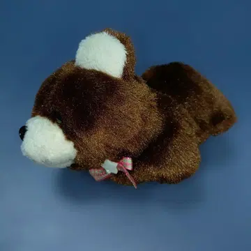 테이크오프 작은 동물원 곰 봉제 인형